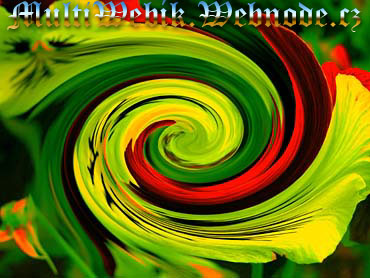 Multiwebik